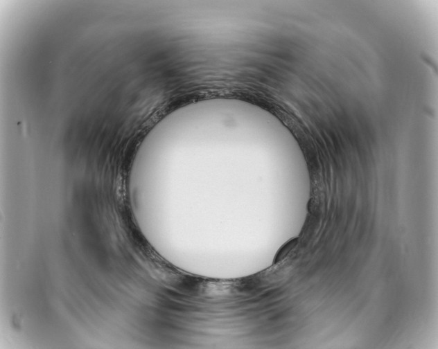 X0000094230134200710261021