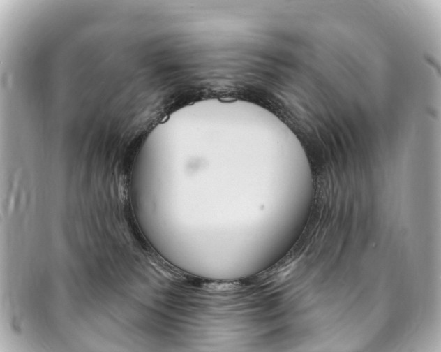 X0000094230135200710261021