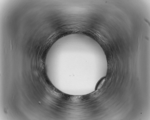 X0000094230136200710261021