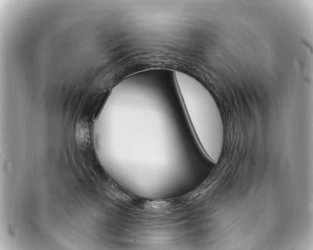 X0000094230137200710261021