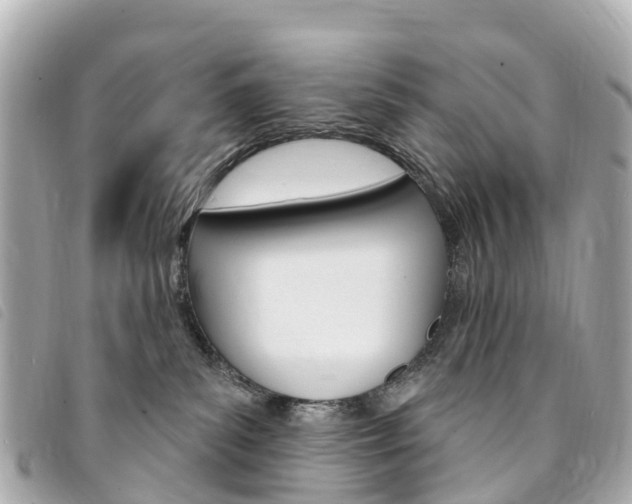 X0000094230139200710261021