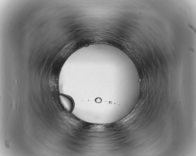 X0000094230140200710261021