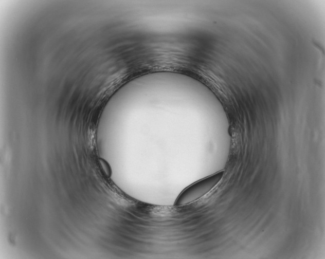 X0000094230142200710261021