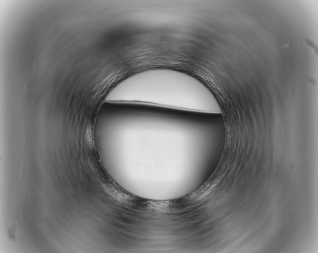 X0000094230143200710261021