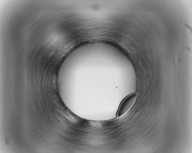 X0000094230144200710261021