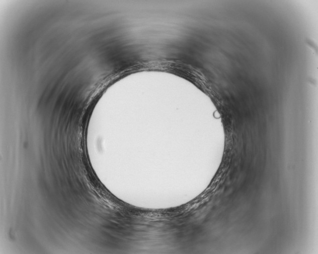 X0000094230146200710261020