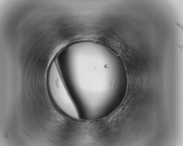 X0000094230148200710261020