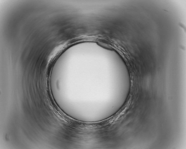 X0000094230149200710261020