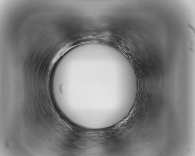 X0000094230150200710261020