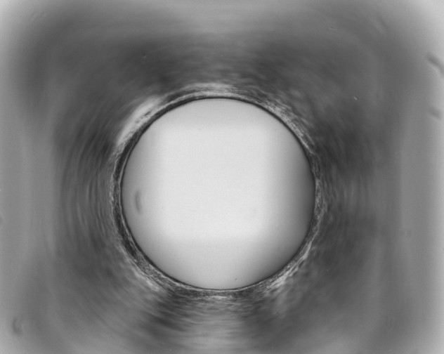 X0000094230151200710261020