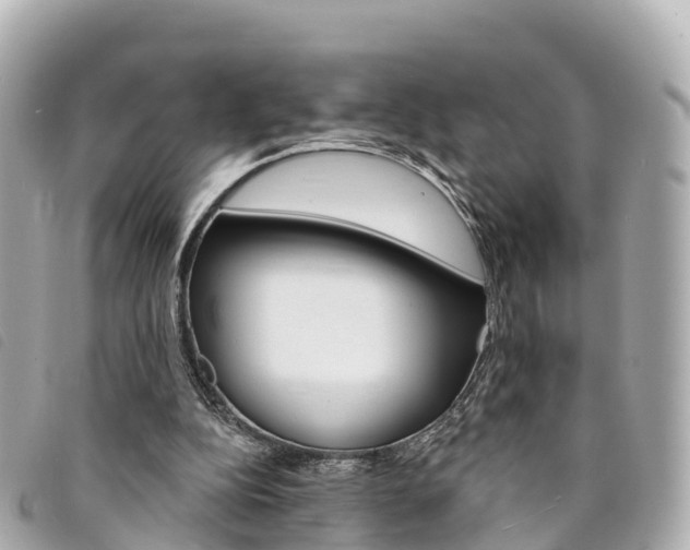 X0000094230152200710261020