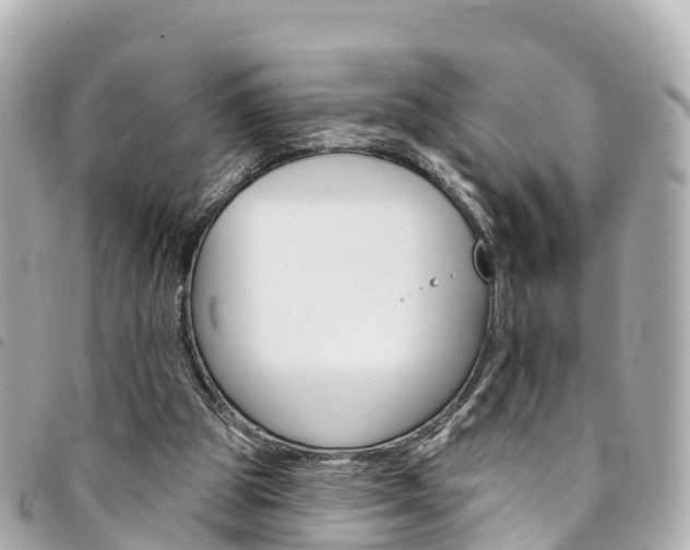 X0000094230153200710261020