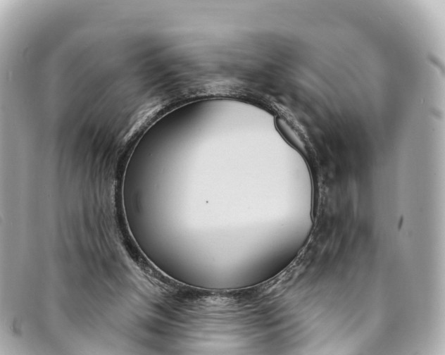 X0000094230154200710261020