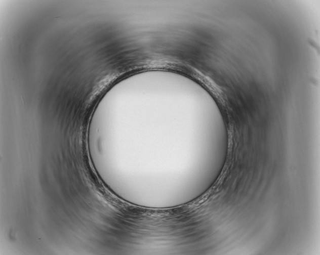 X0000094230155200710261020