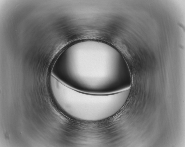 X0000094230156200710261020