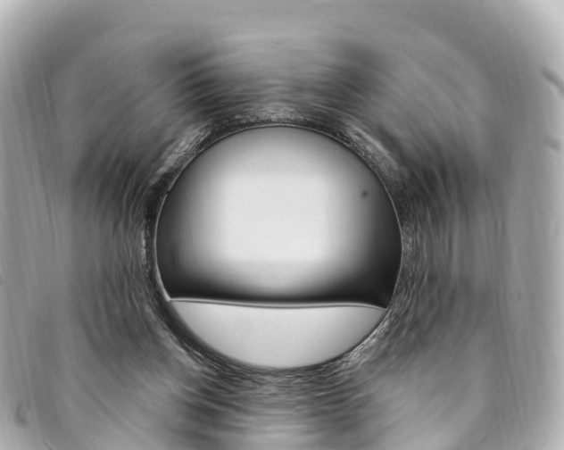 X0000094230158200710261021