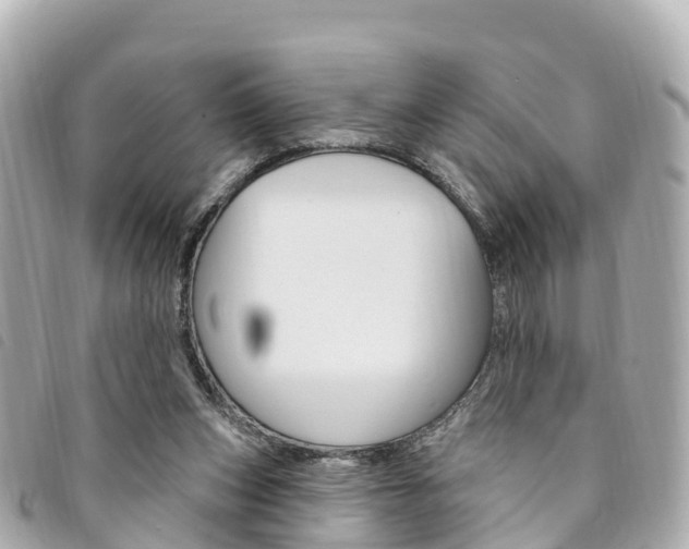 X0000094230159200710261021