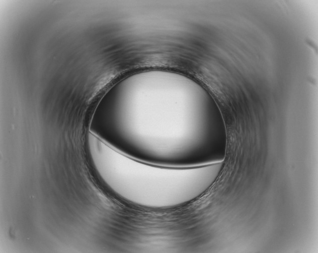 X0000094230160200710261021