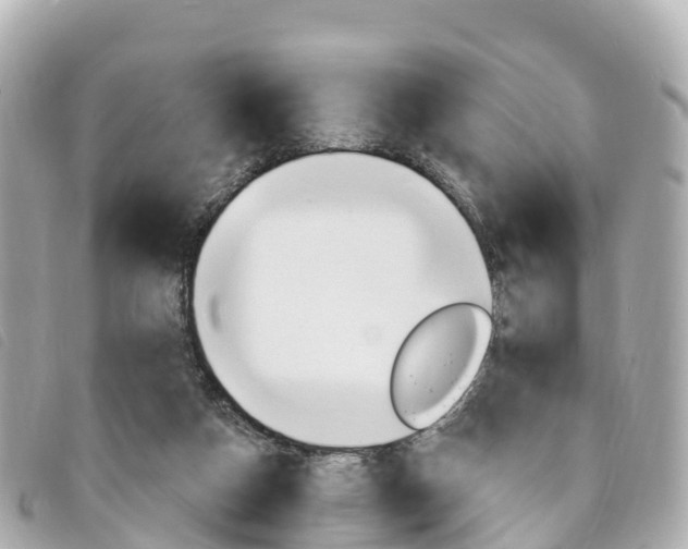 X0000094230162200710261021