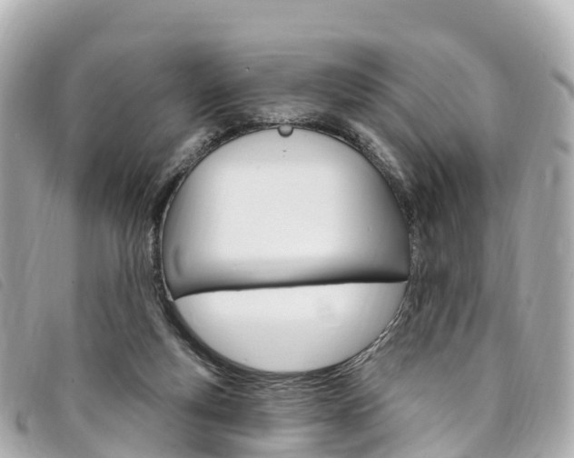 X0000094230163200710261021