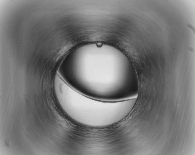 X0000094230164200710261021