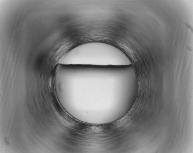X0000094230166200710261021