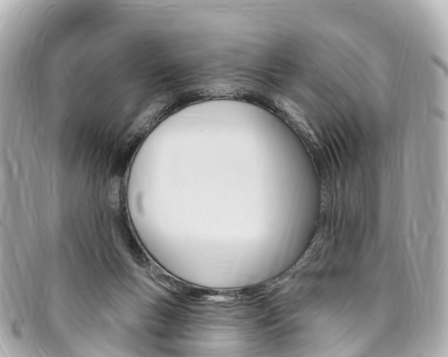 X0000094230167200710261021