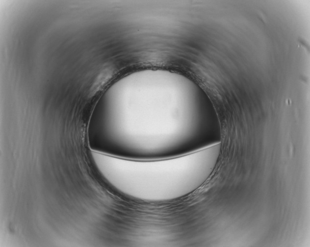 X0000094230168200710261021