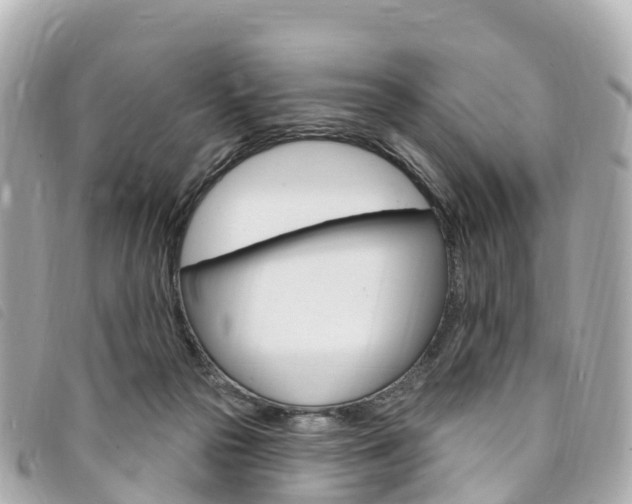 X0000094230169200710261021