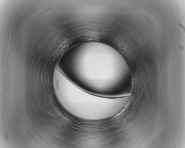 X0000094230170200710261021