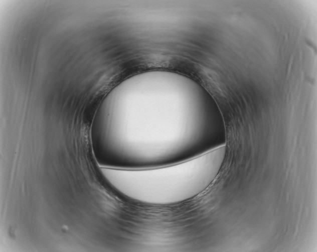 X0000094230172200710261021