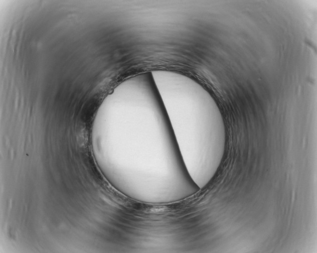 X0000094230173200710261021