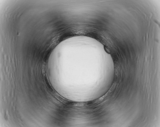 X0000094230175200710261021