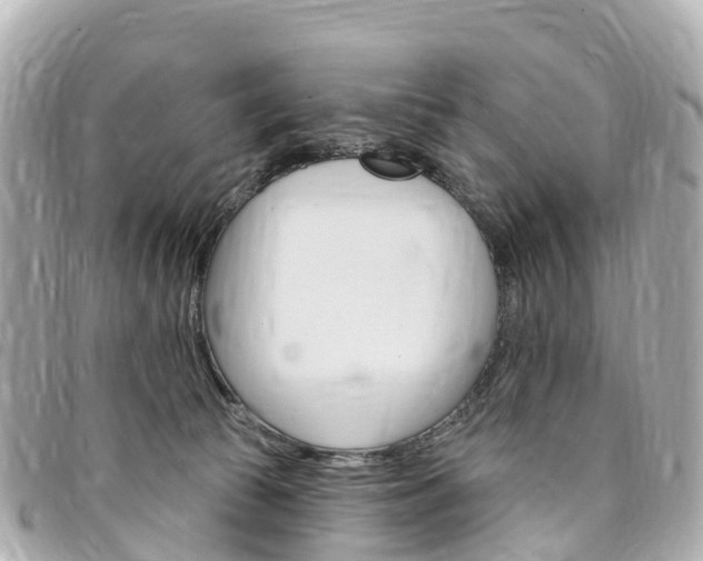 X0000094230177200710261021