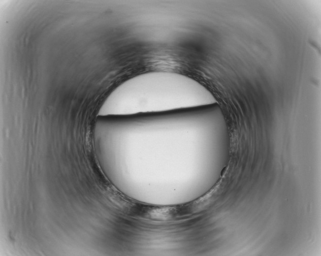 X0000094230178200710261021