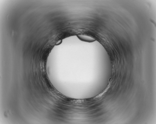 X0000094230182200710261021