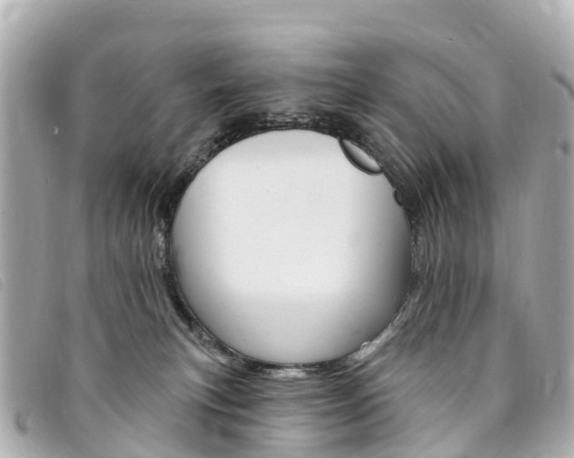 X0000094230183200710261021