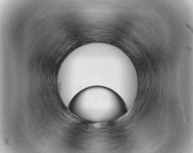 X0000094230184200710261021