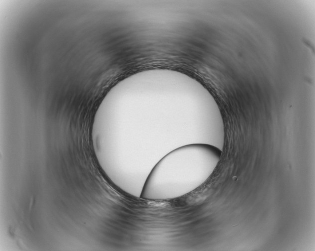 X0000094230185200710261021