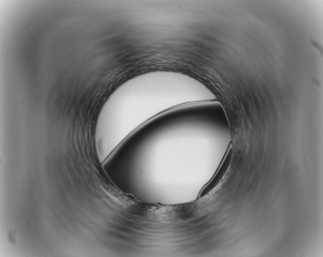 X0000094230186200710261021