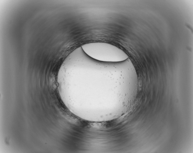 X0000094230187200710261021