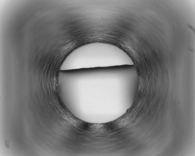 X0000094230189200710261021