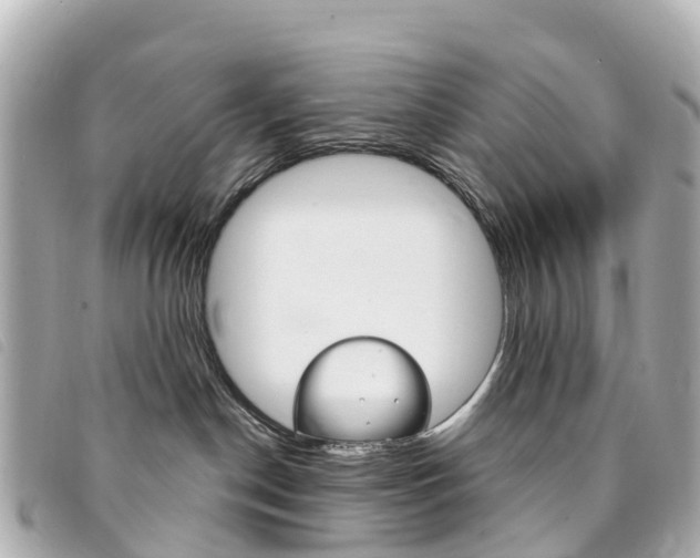 X0000094230190200710261021
