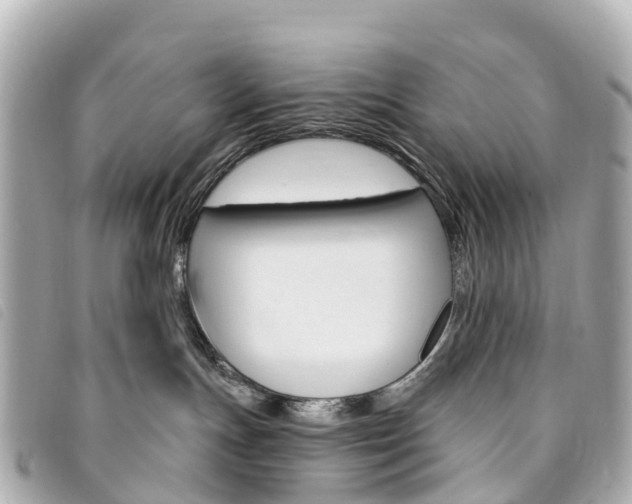 X0000094230191200710261021