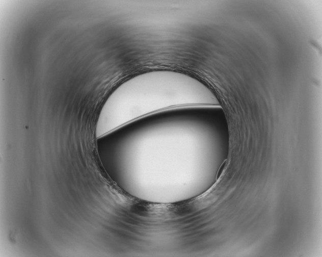 X0000094230192200710261021