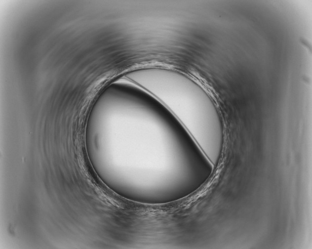 X0000094230193200710261020