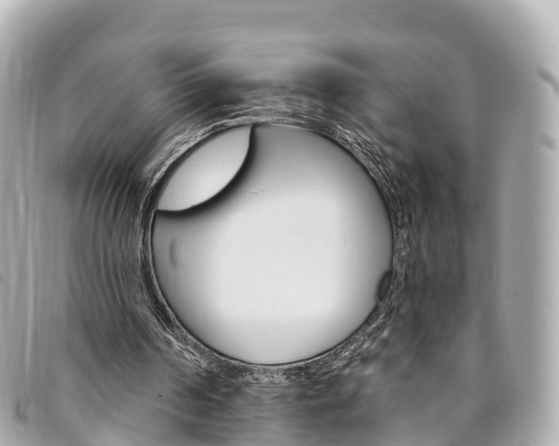 X0000094230194200710261020