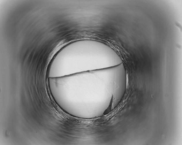 X0000094230195200710261020