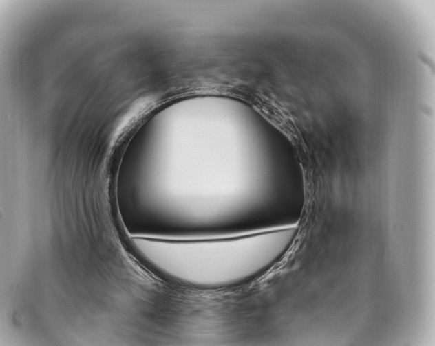 X0000094230197200710261020