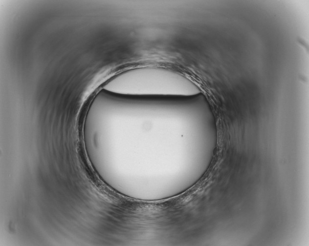 X0000094230198200710261020